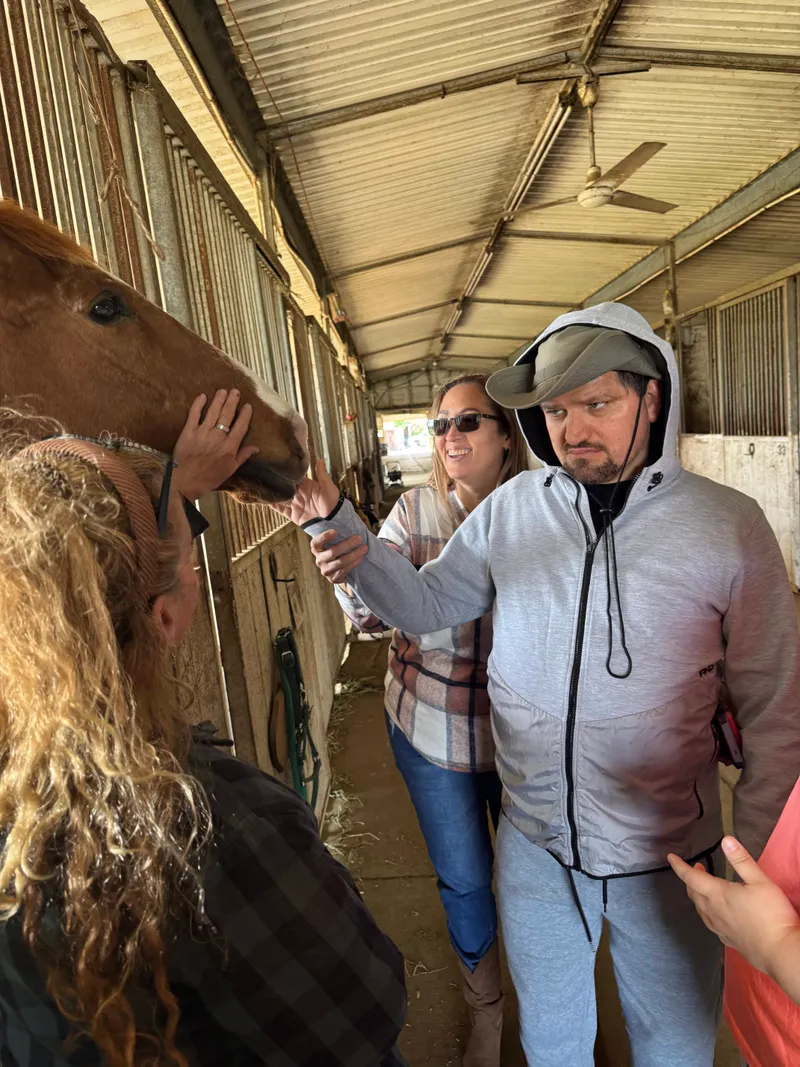Community outing visiting animals at a farm